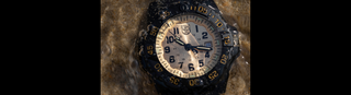 LUMINOX LAUNCHES NEW LIMITED EDITION NAVY SEAL WATCH  GO BOLD IN GOLD