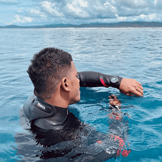 Luminox watch sea turtle on sale