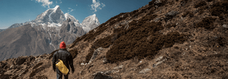 Bild2_compressed_relative_060.png