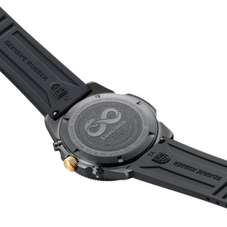 Pacific Diver Chronograph, SNAKE YEAR Limited Edition, 44 mm, Dive Watch - 3141.BO.SNAK.N,Case back