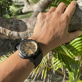 Sea turtle top giant luminox