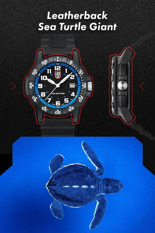 letherback_sea_turtle_section_4_compressed_relative_060.webp
