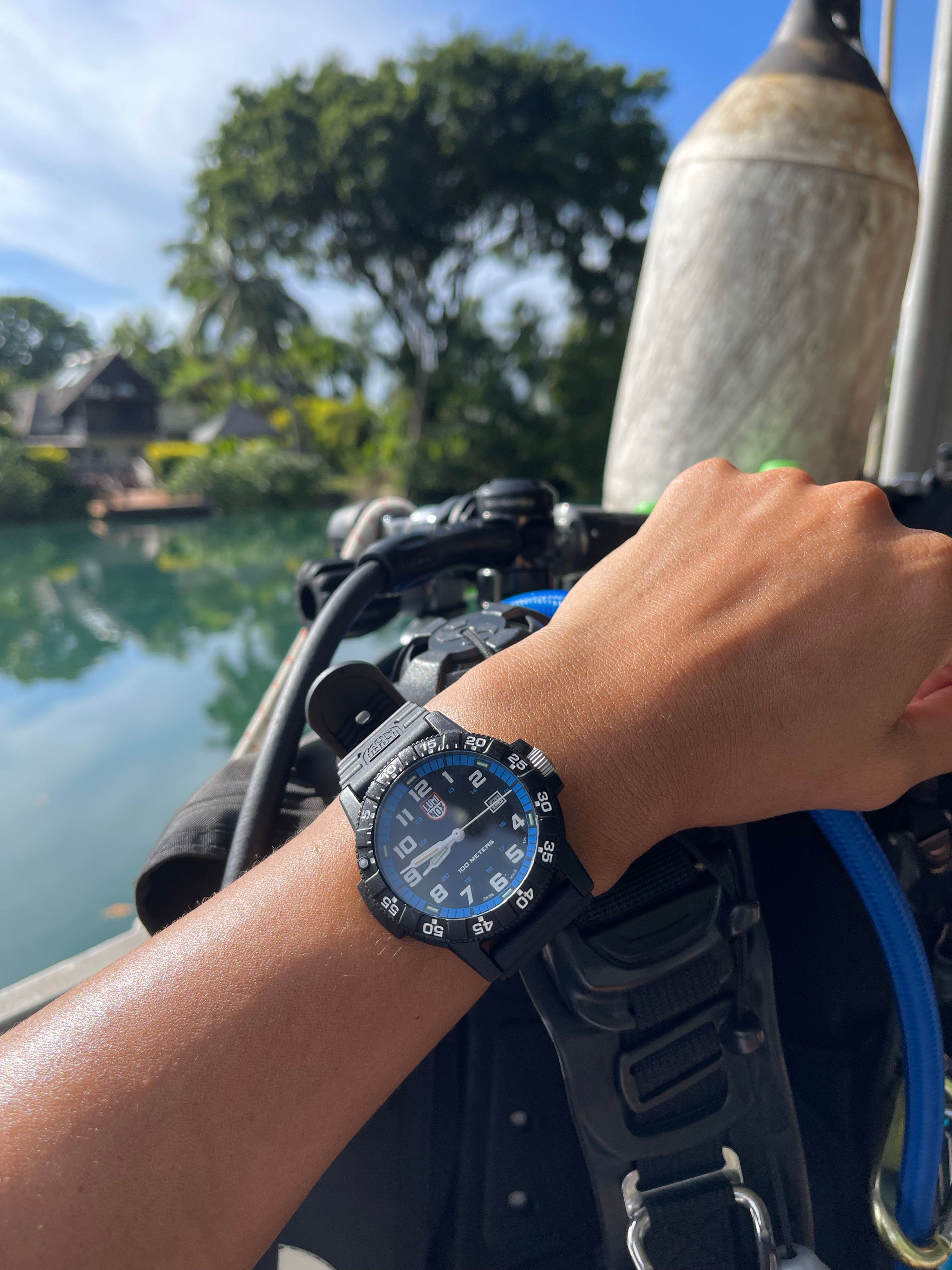Luminox Leatherback Sea Turtle Giant Review Leatherback SEA Turtle