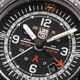 Bear Grylls Survival, 45 mm, Pilot Watch - 3761, Detail view of the watch dial